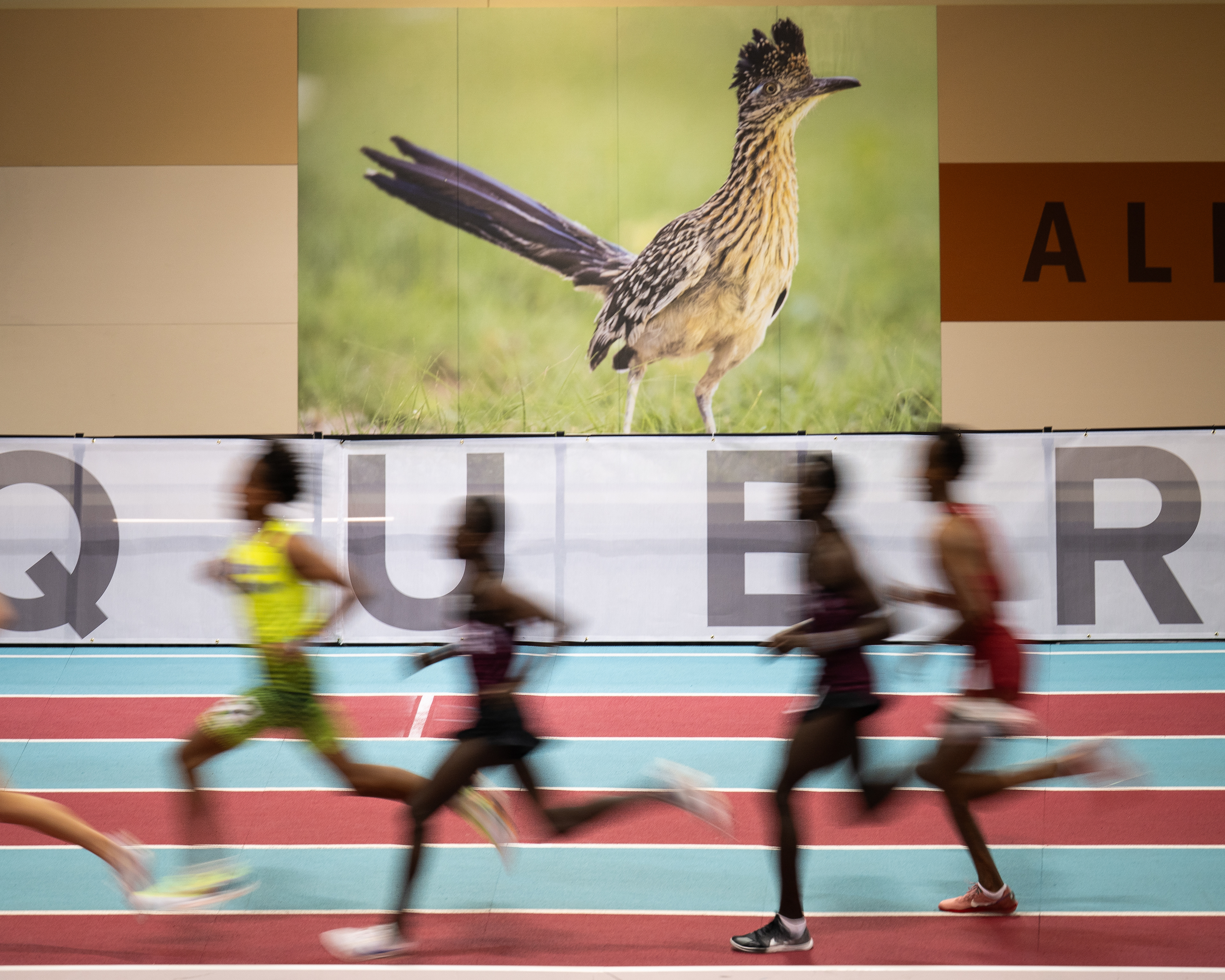 UNM Collegiate Classic