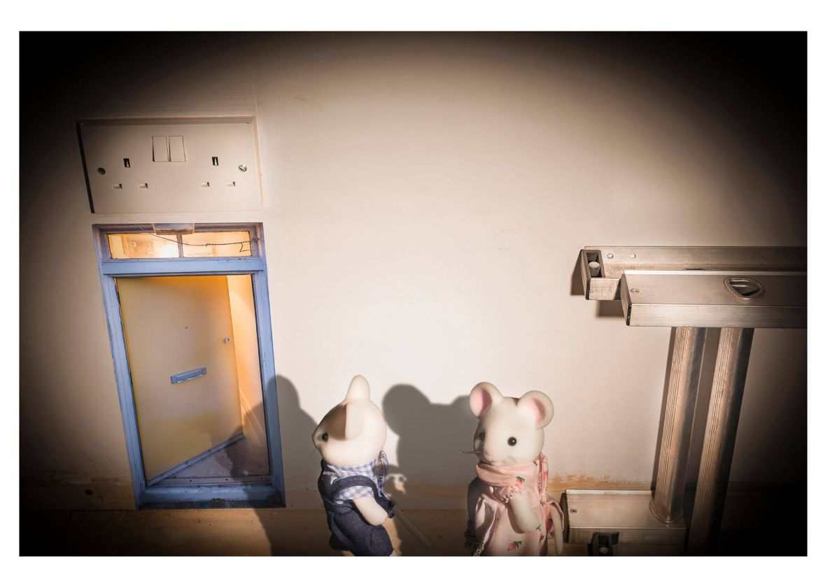 I KNEW THERE WAS MICE IN THE LOFT