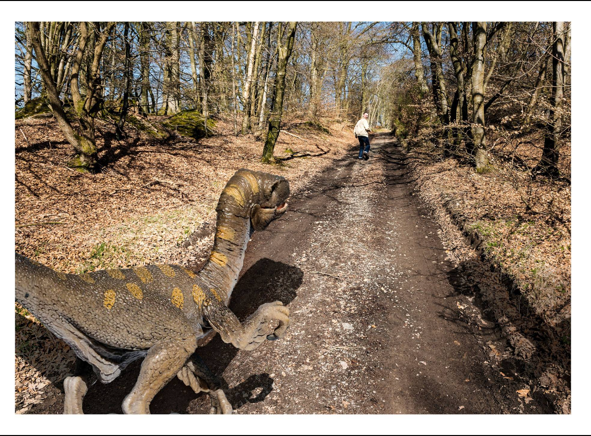 I TOLD YOU THERE WAS DINOSAURS UP THE WOODS