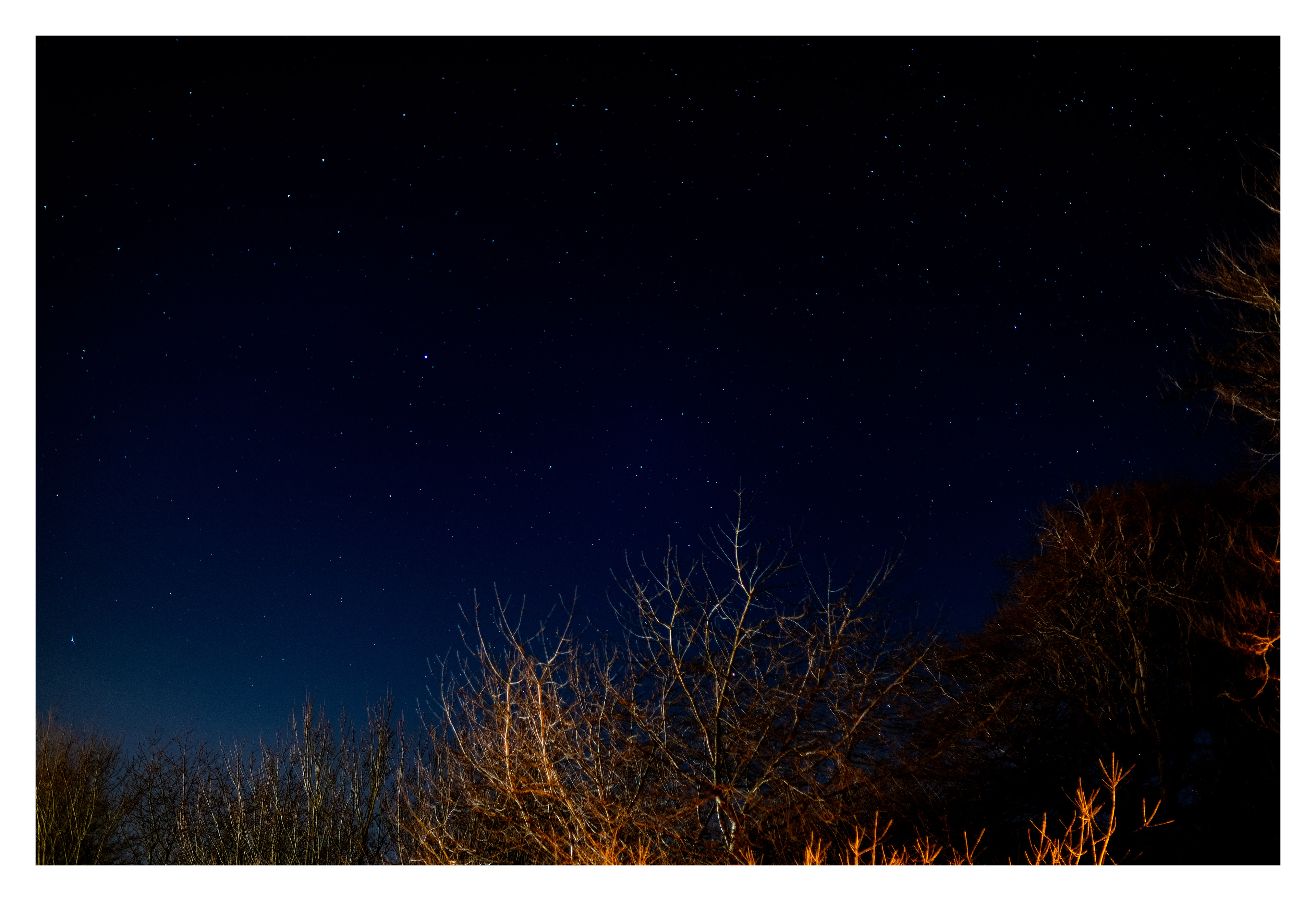 Photograph of the early evening stars, with late autumn trees losing their leaves at the bottom