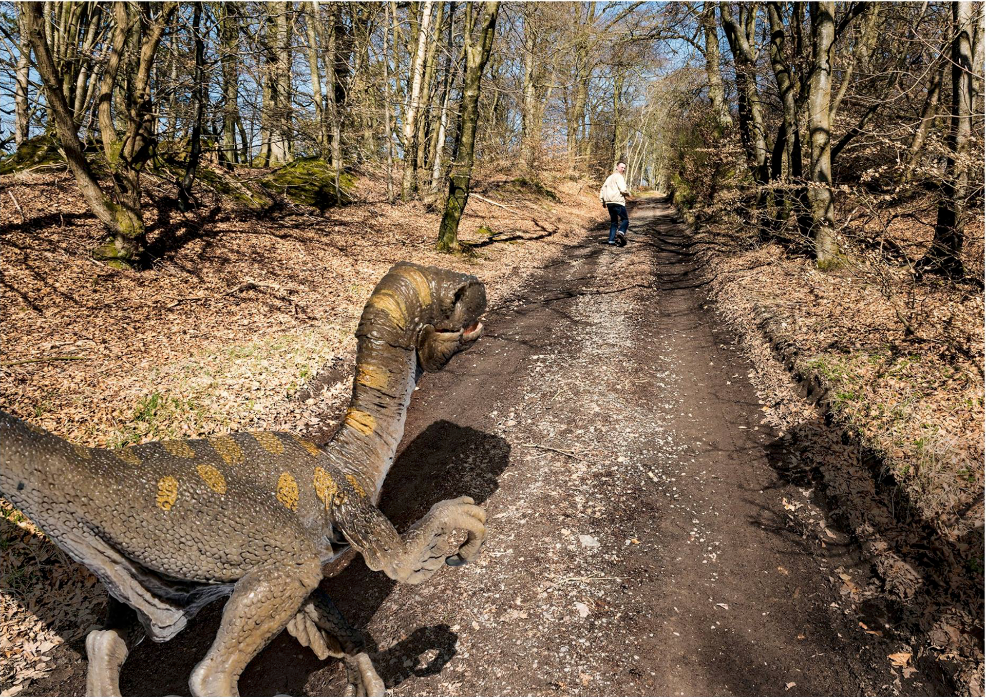 Composite photo of a Dinosaur chasing a man