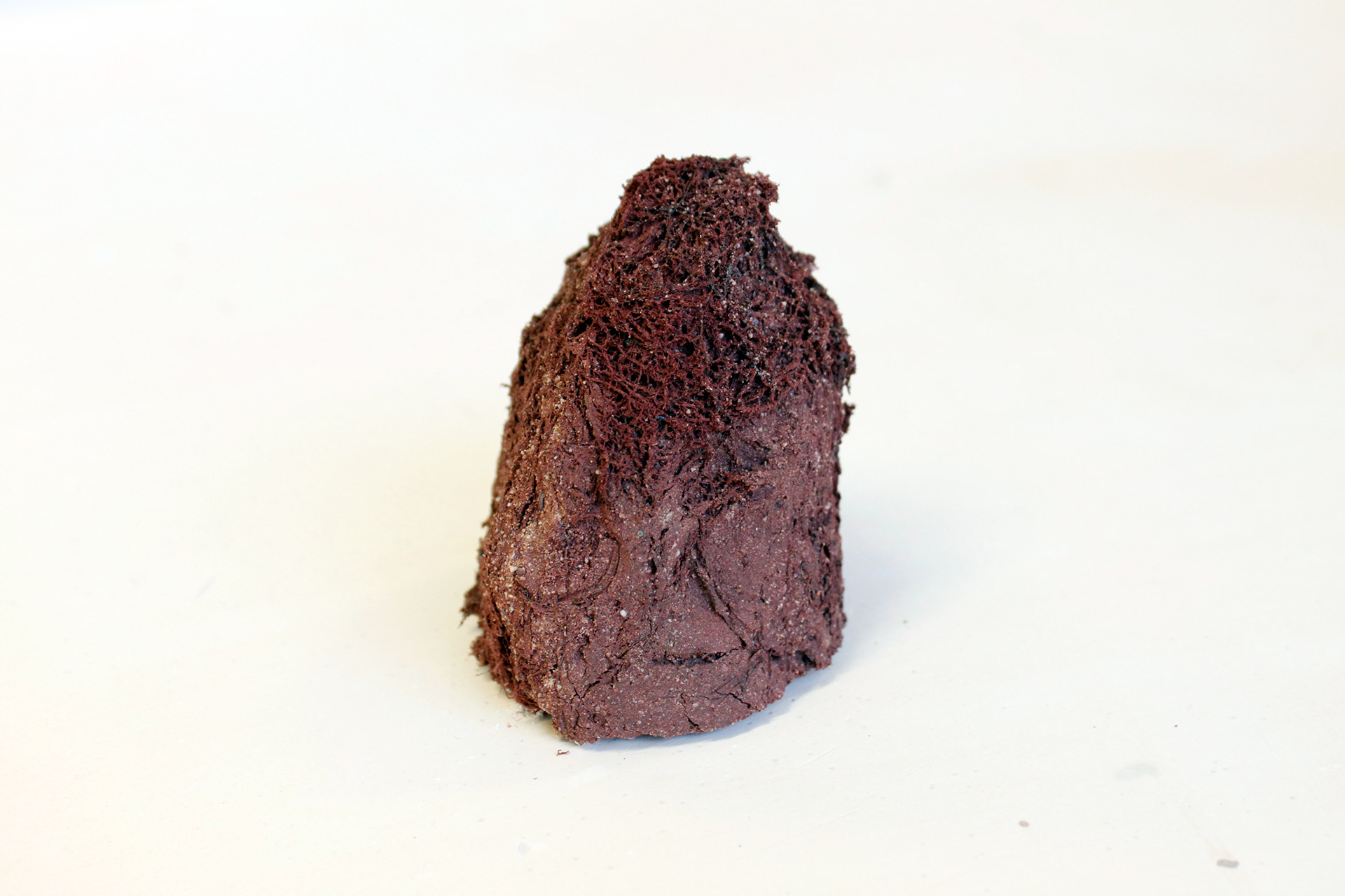Stoneware sample with a texture created from burning away the attached moss