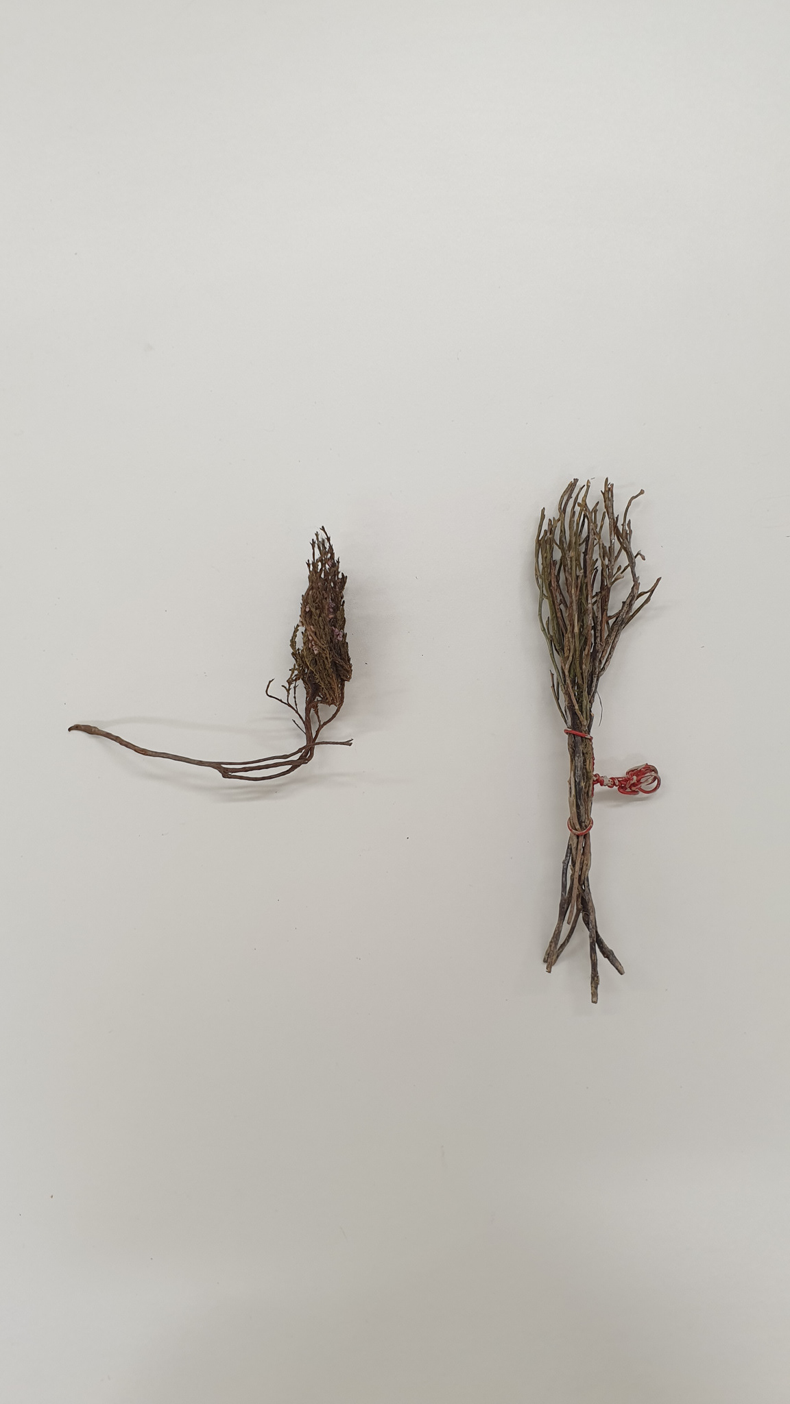 Two Heather Brushes