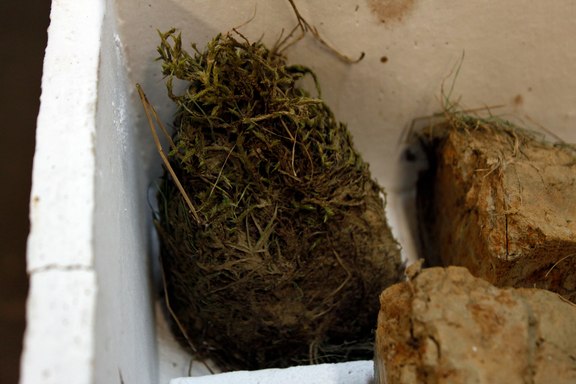 Raw clay from Grindslow clough loaded into a sagger to protect the kiln