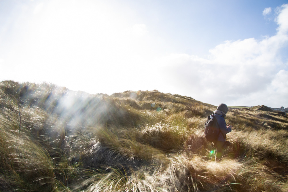 Dune Walk