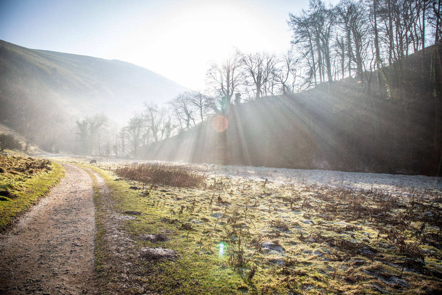Morning sun