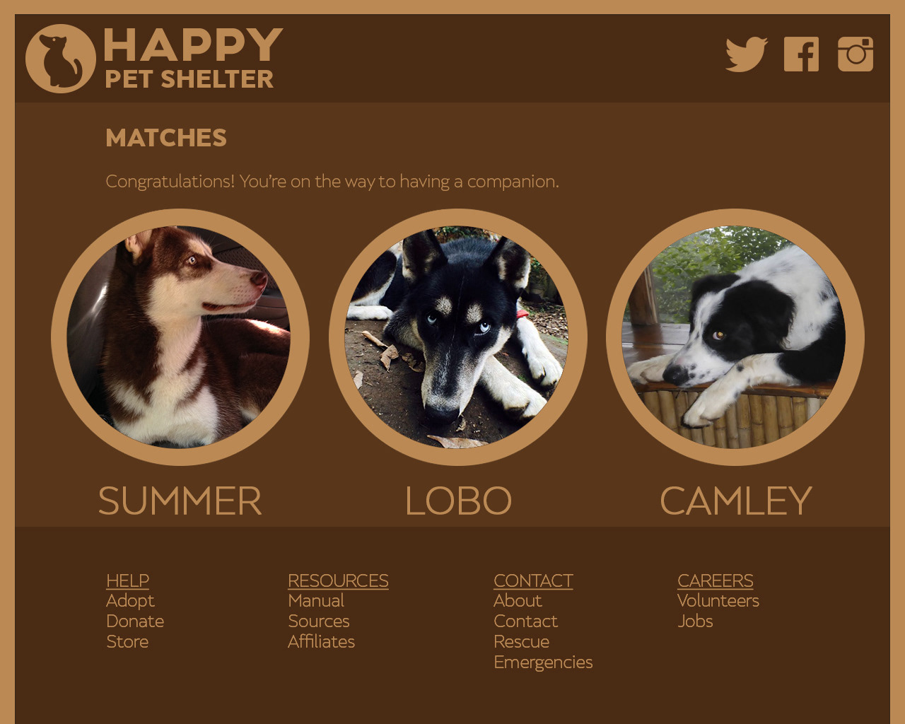 Proposed Website
