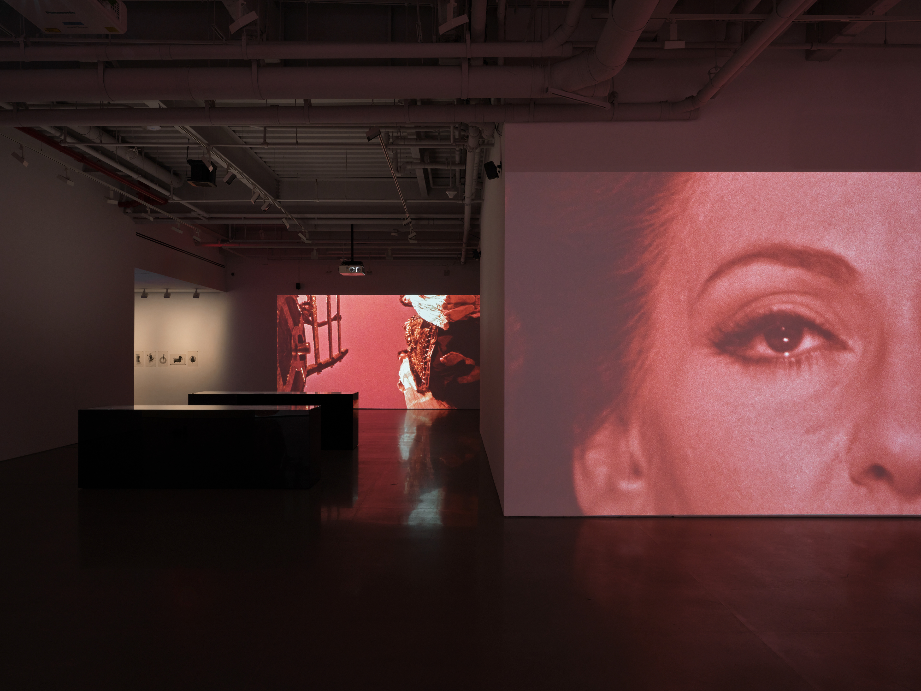 Patti Smith + Soundwalk Collective at Kurimanzutto NY
