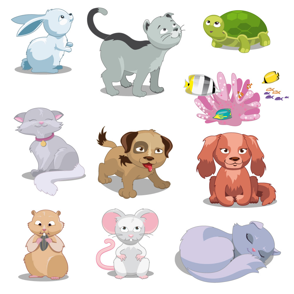 les animaux de compagnie