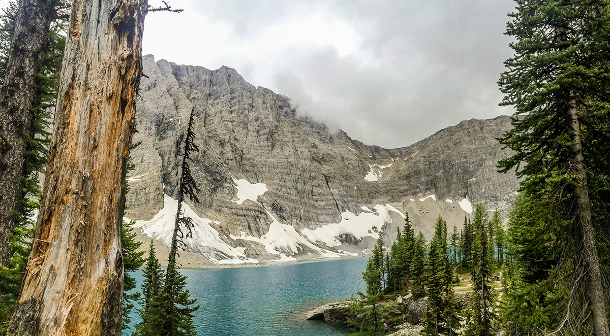 Rockwall Trail, BC - Canada