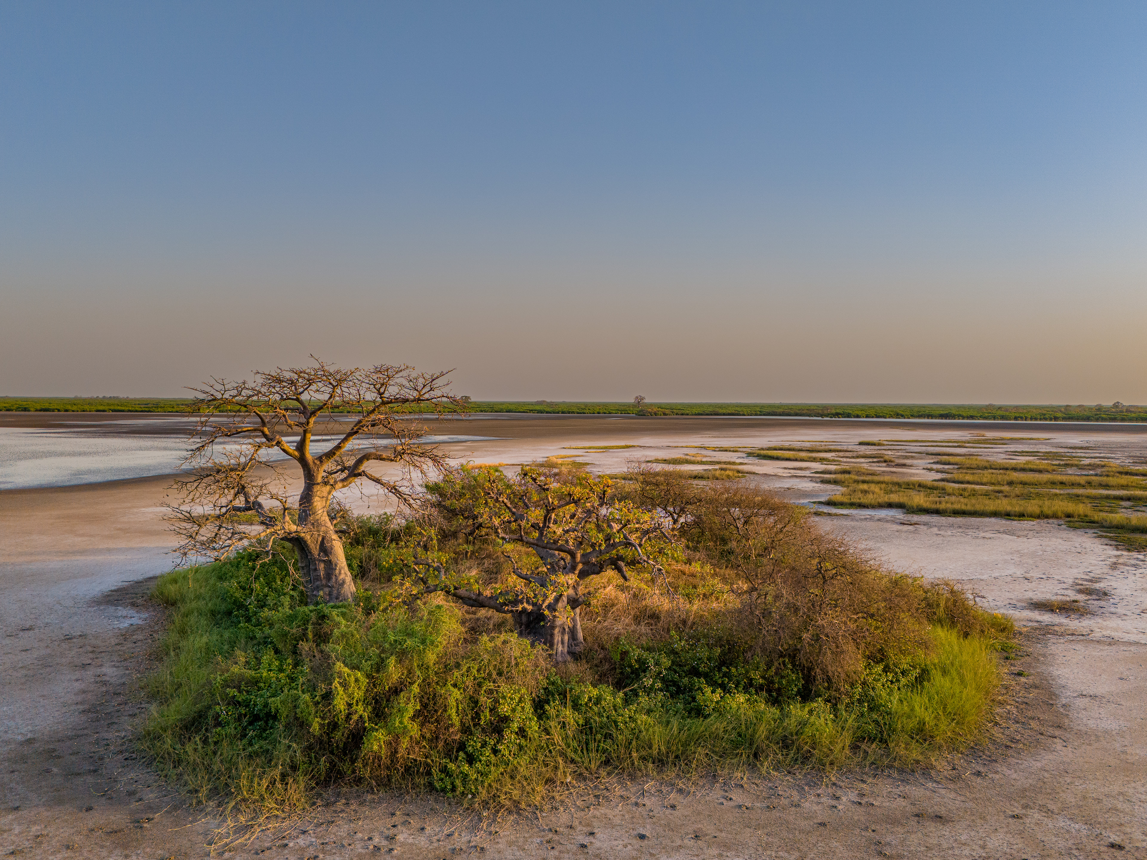 Siné Saloum, Sénégal