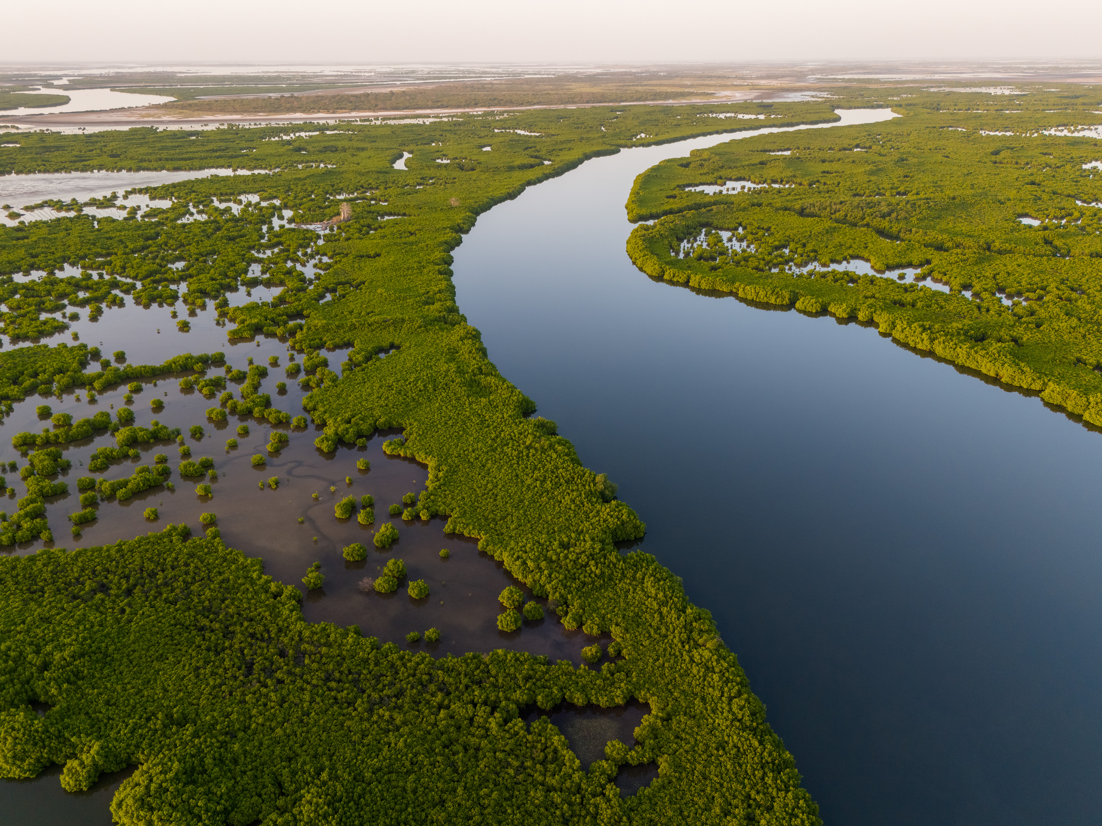 Siné Saloum, Sénégal