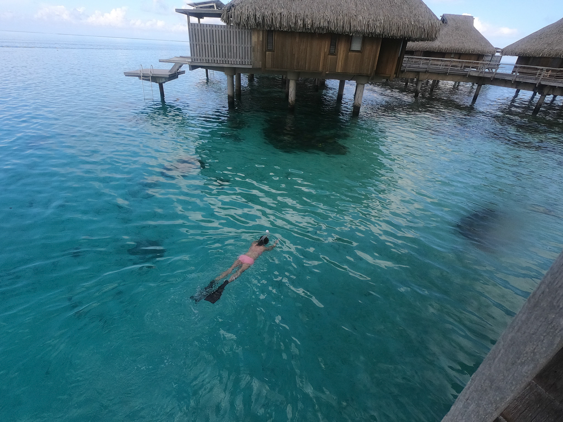 DCIM\100GOPRO\GOPR0067.JPG