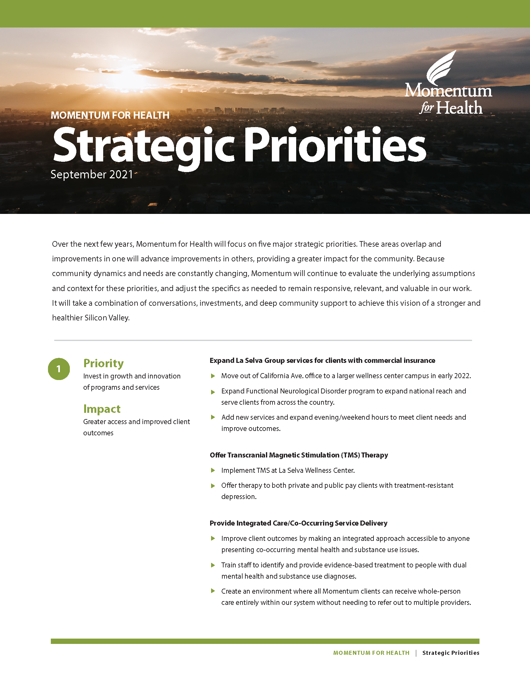 Momentum for Health's Strategic Priorities one-pager