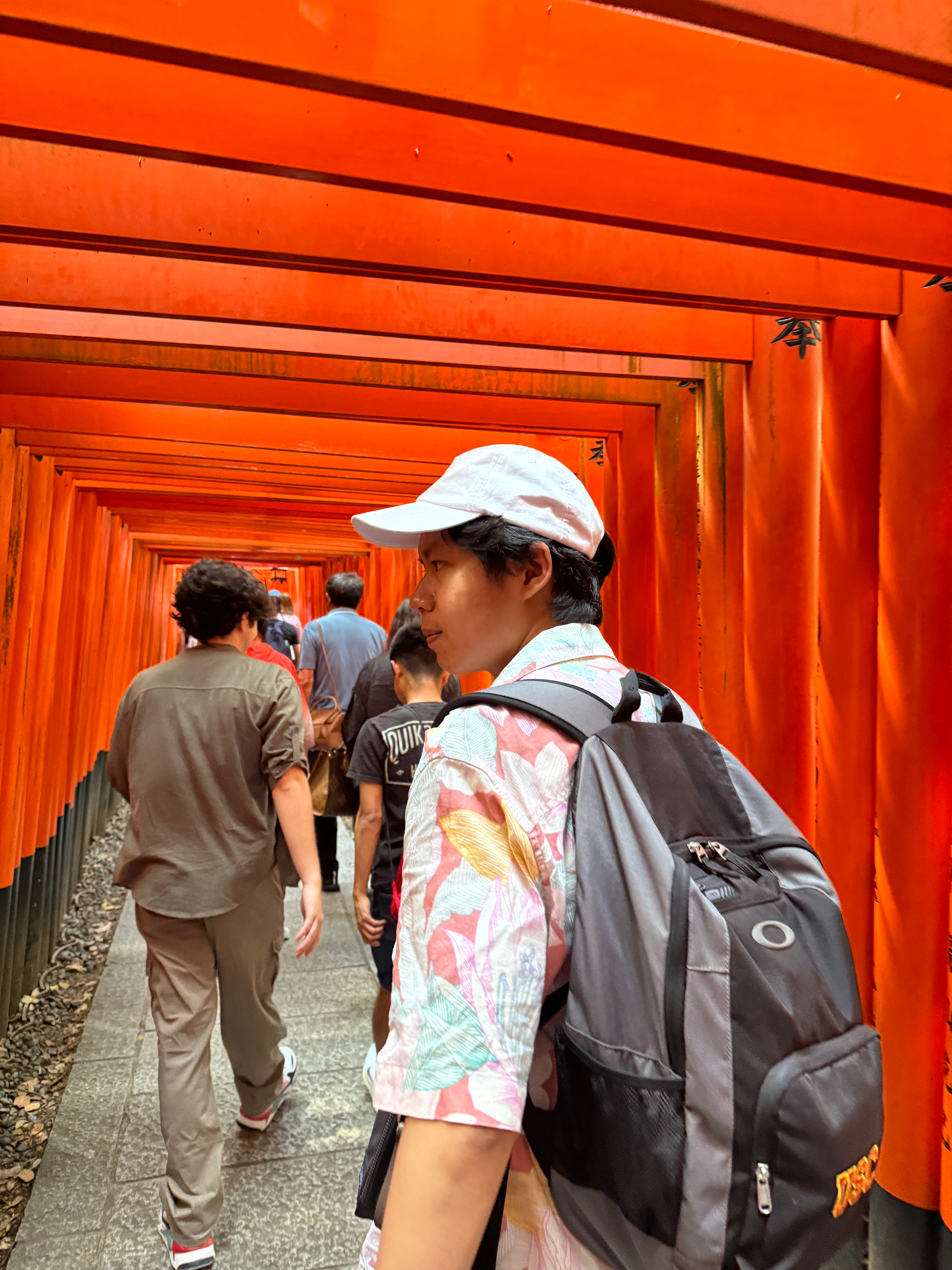 Research and study abroad in Kyoto, Japan