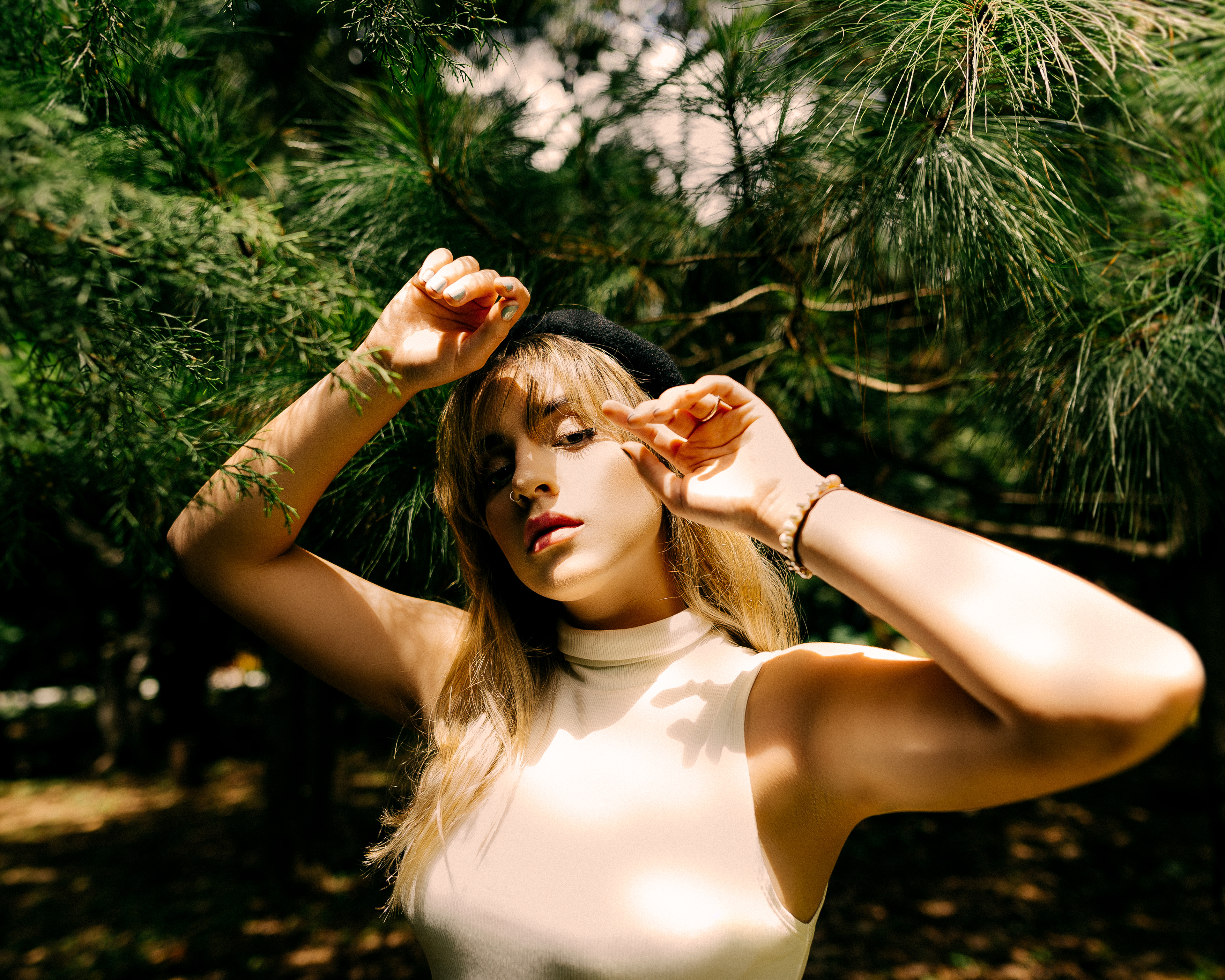 Sunlit Woods