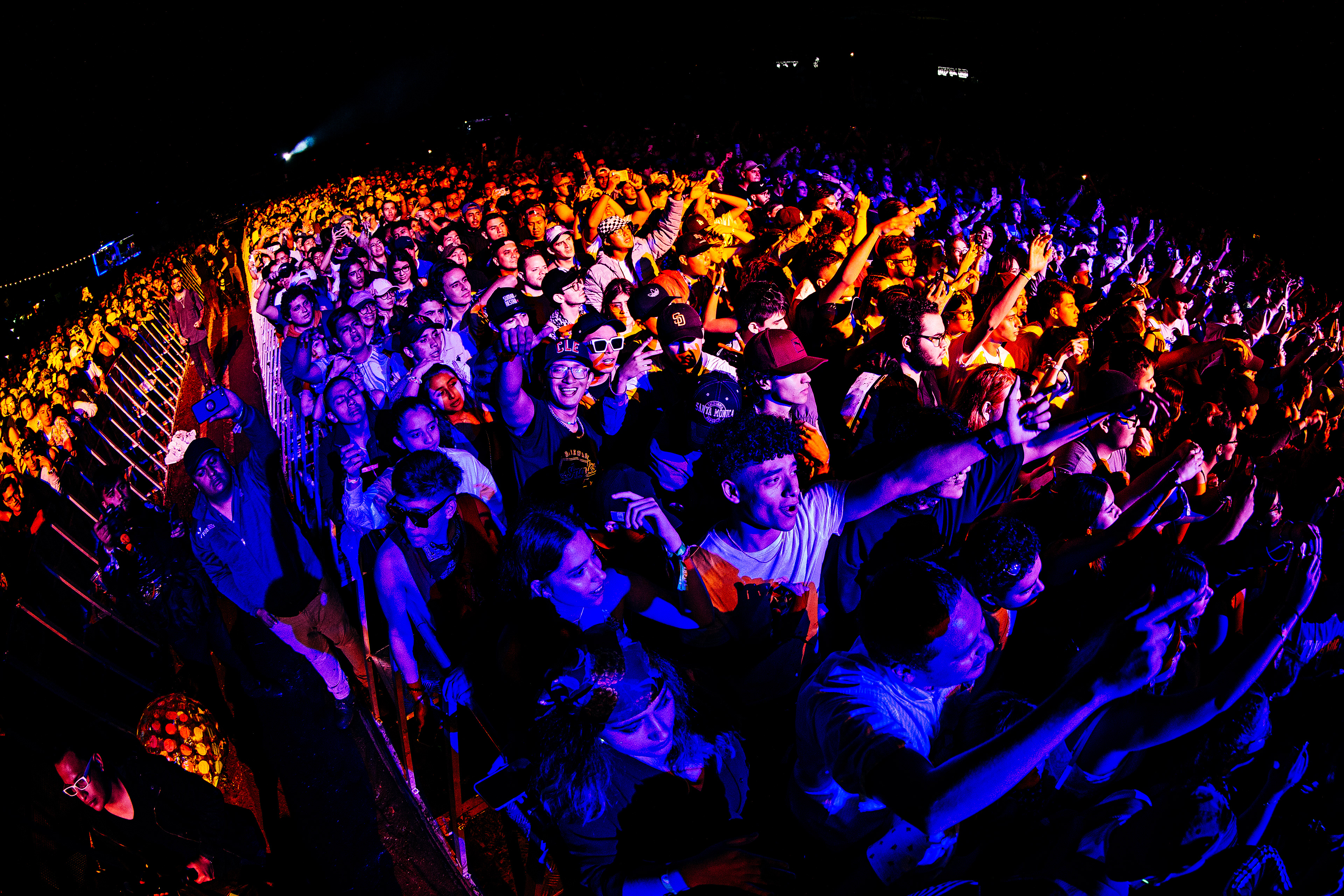 Crowd