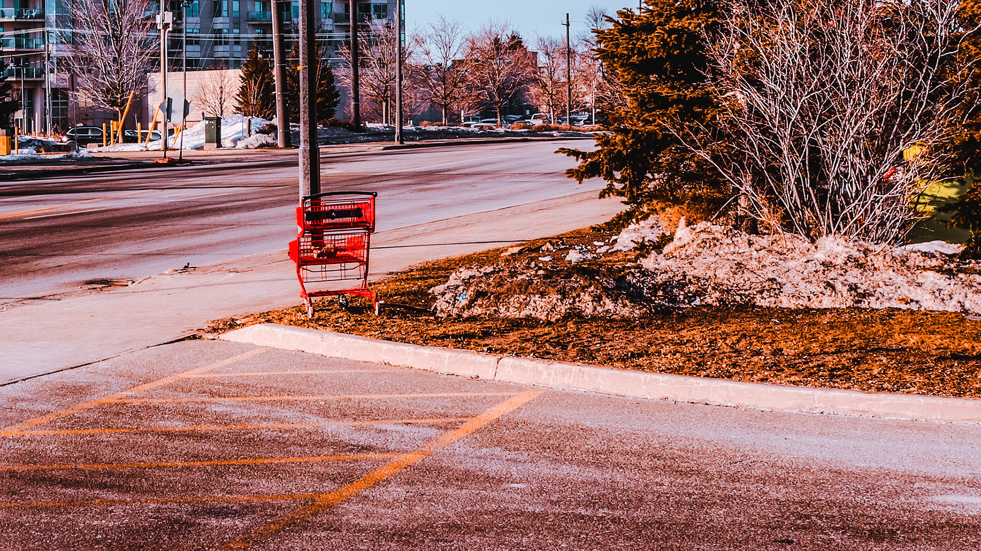 Stray Shopping Cart
