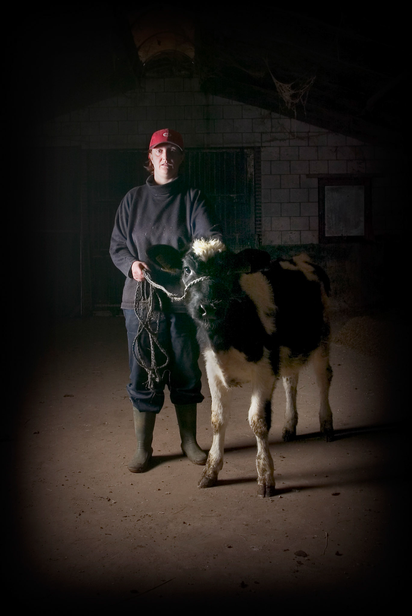 Son, Astrid de Haas met Holsteiner kalf.