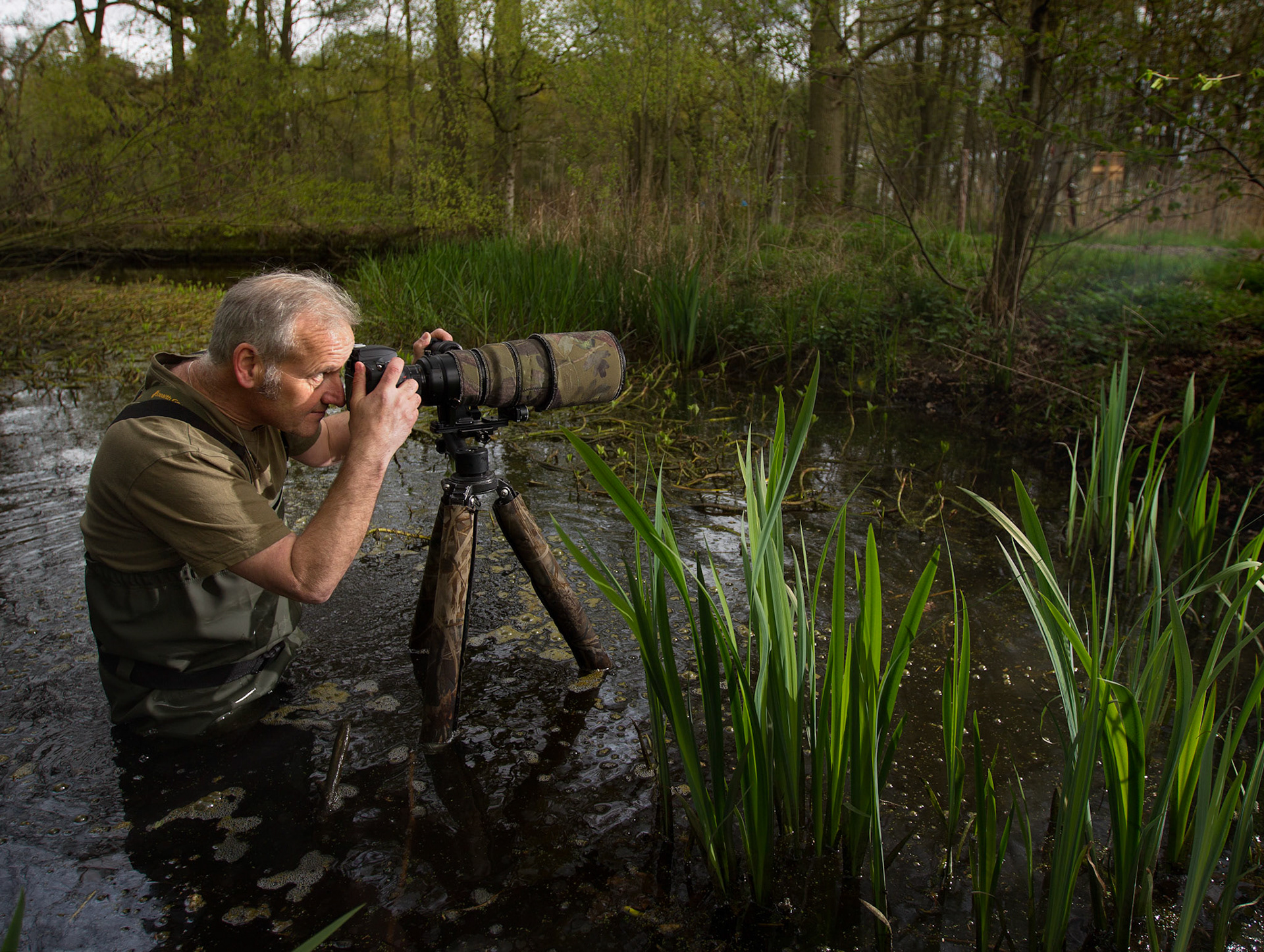 Aarle Rixtel Marcel van de Kerkhof, natuurfotograaf.