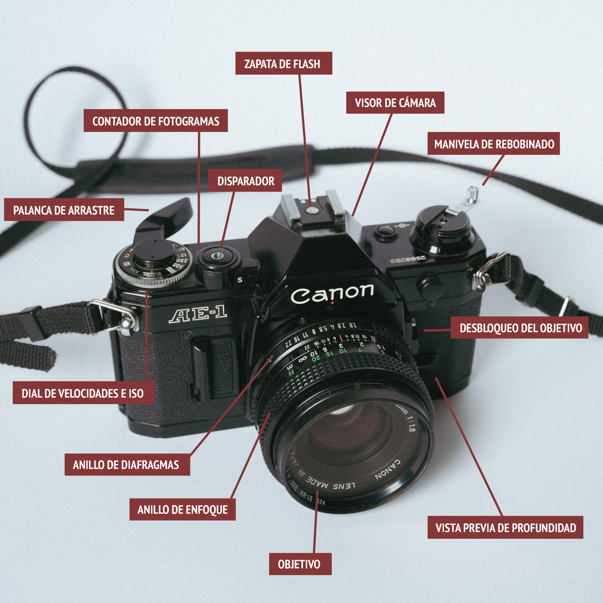Cómo usar una cámara analógica y revelar las fotos