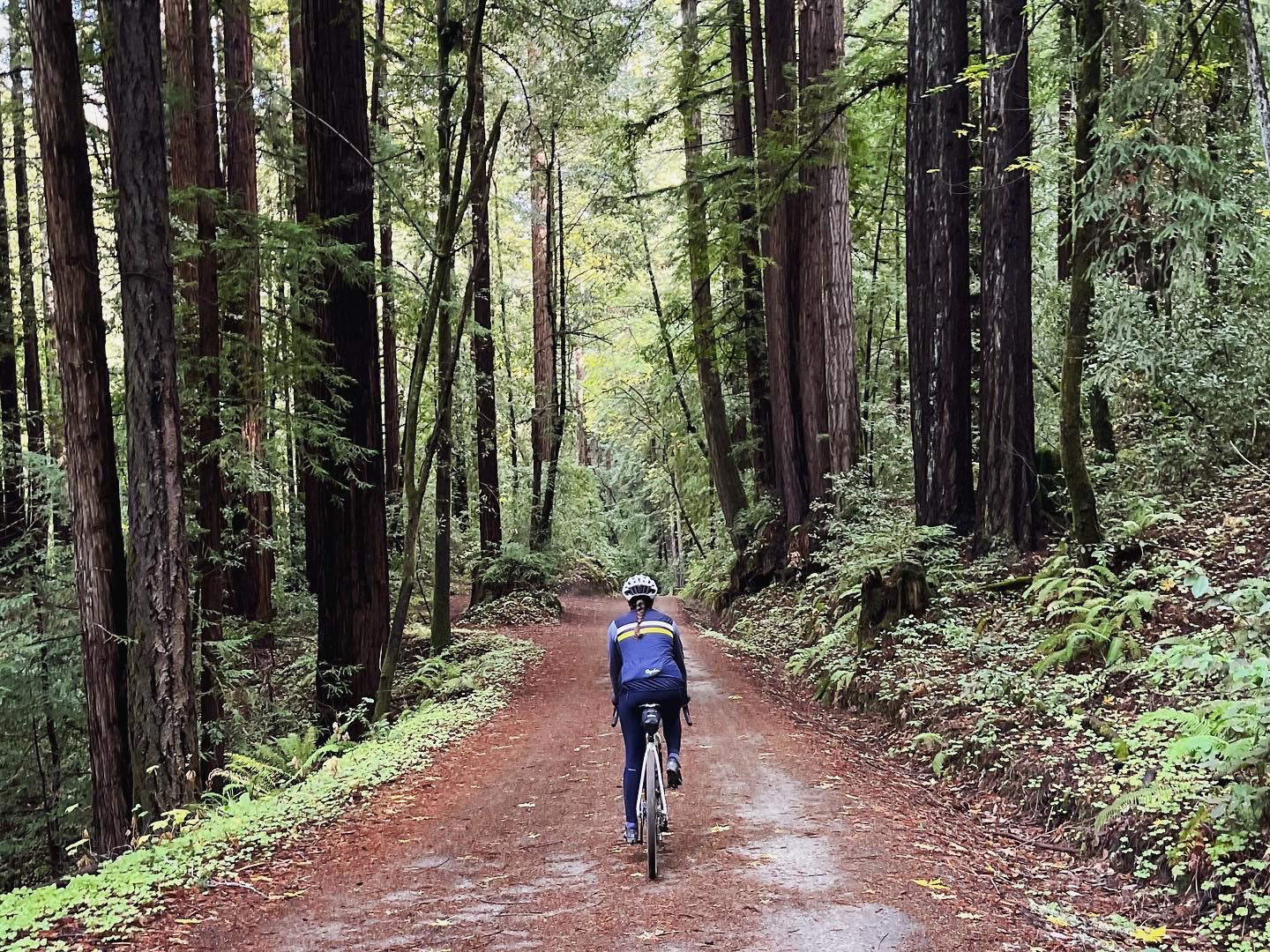 Cycling Jenny Forest of Nisene Marks