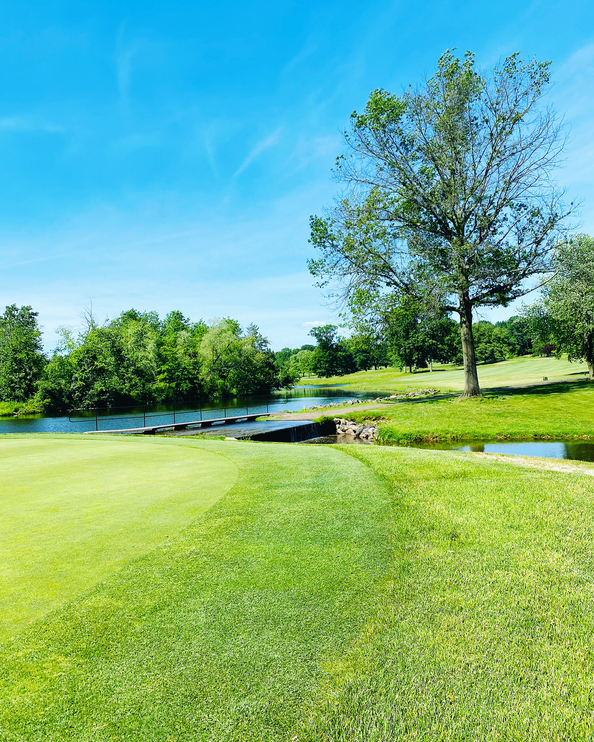 Spring-Ford Country Club | Royersford, Pennsylvania