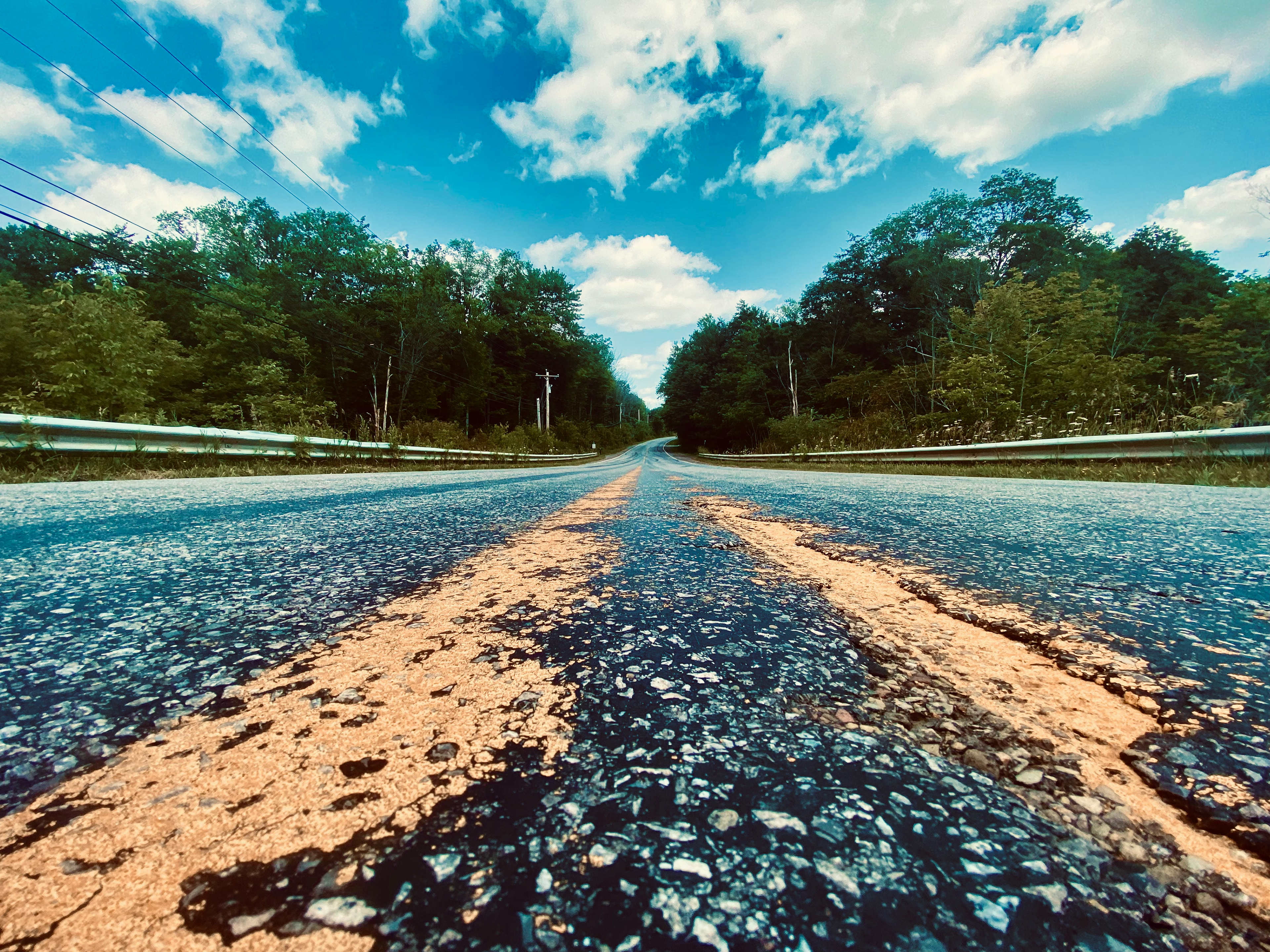 Clear Lake Wildlife | Lawtons, New York