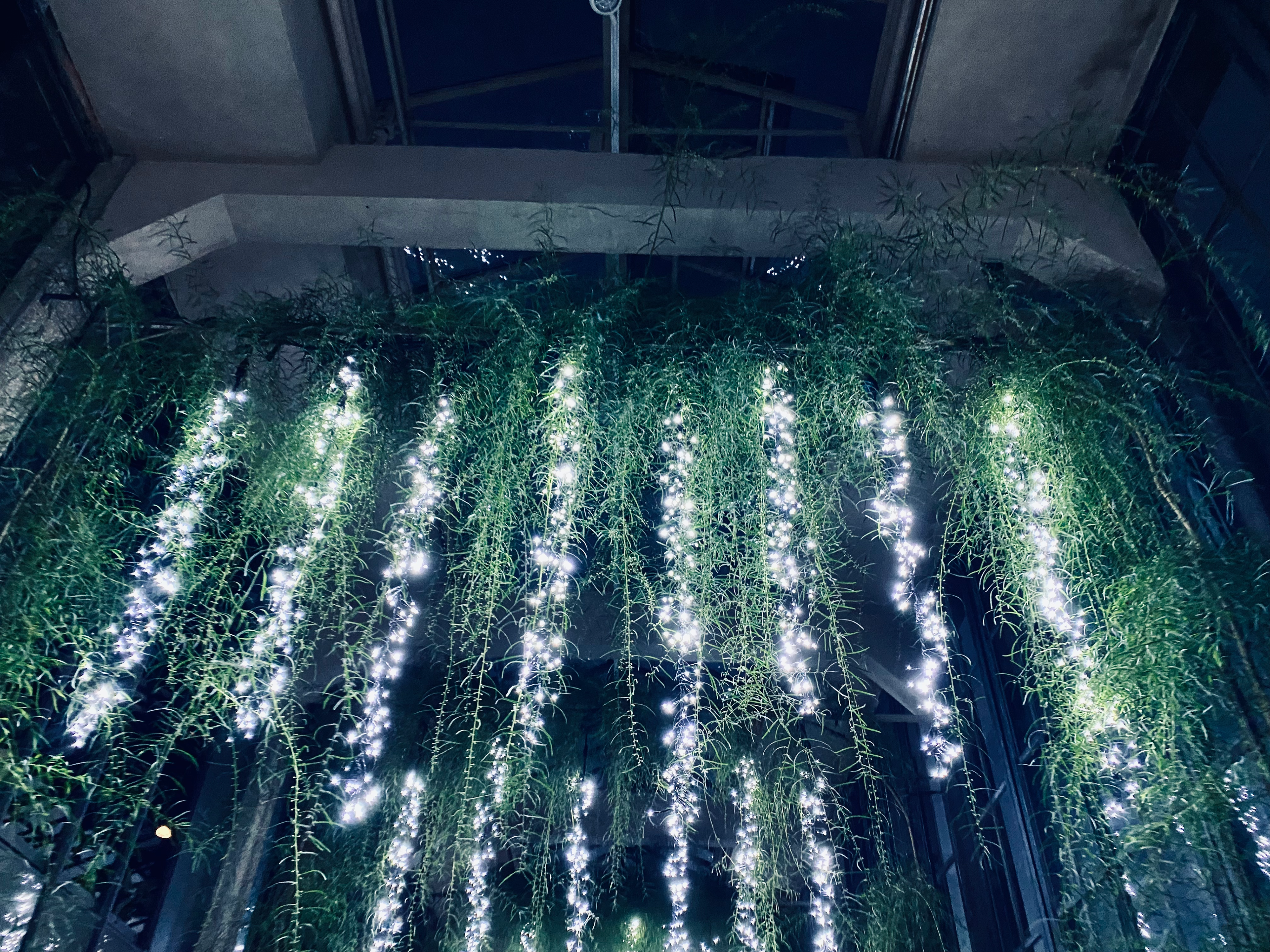 Longwood Gardens | Kennett Square, Pennsylvania