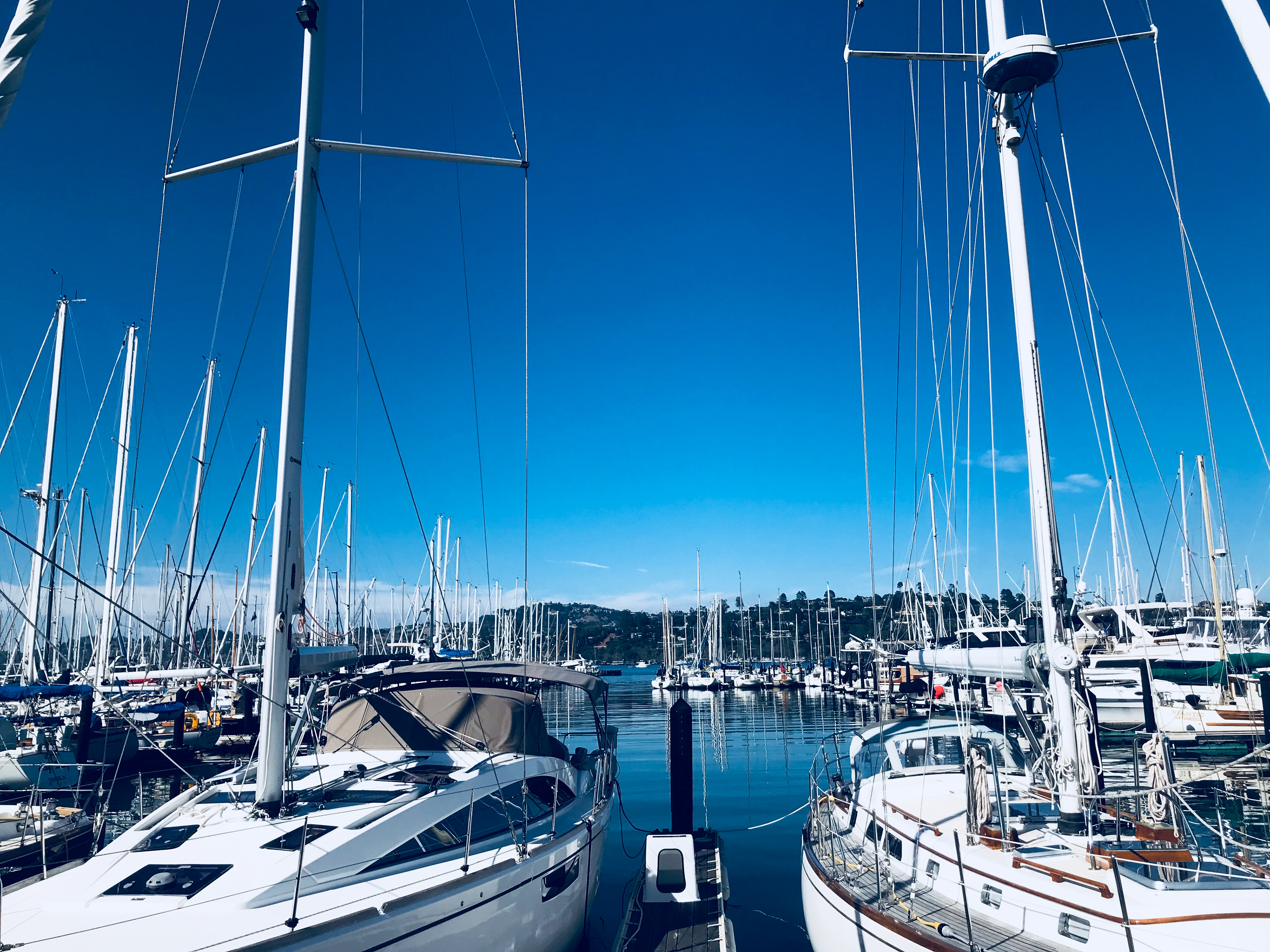 Sausalito Yacht Harbor | Sausalito, California