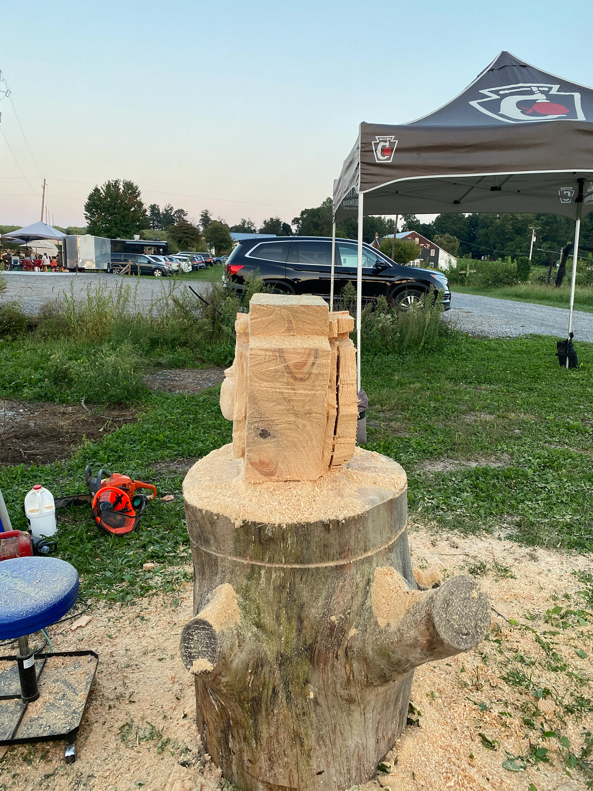 Chainsaw Work