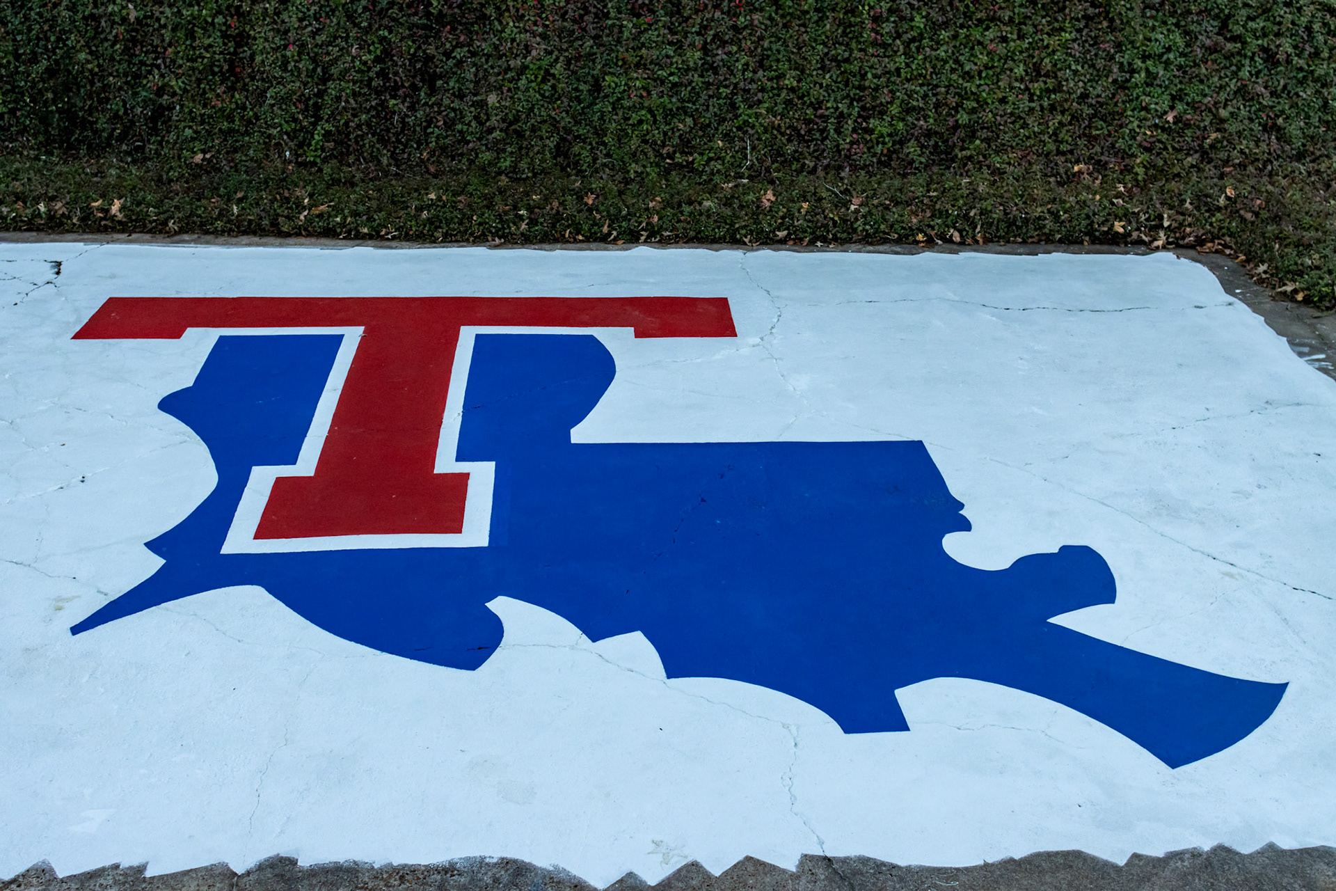 Untitled, painting, 22 by 30 feet