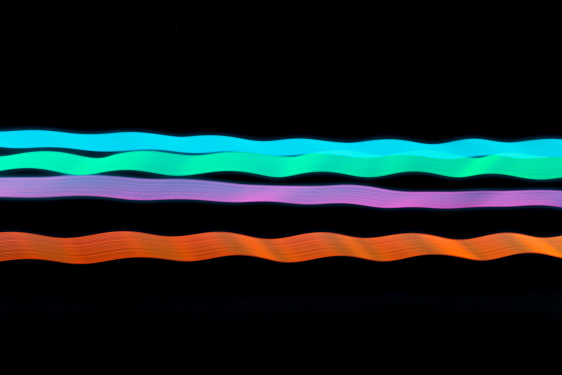 Untitled, digital photograph