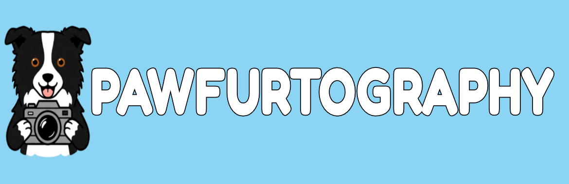 Elijah Harnage Tonkins