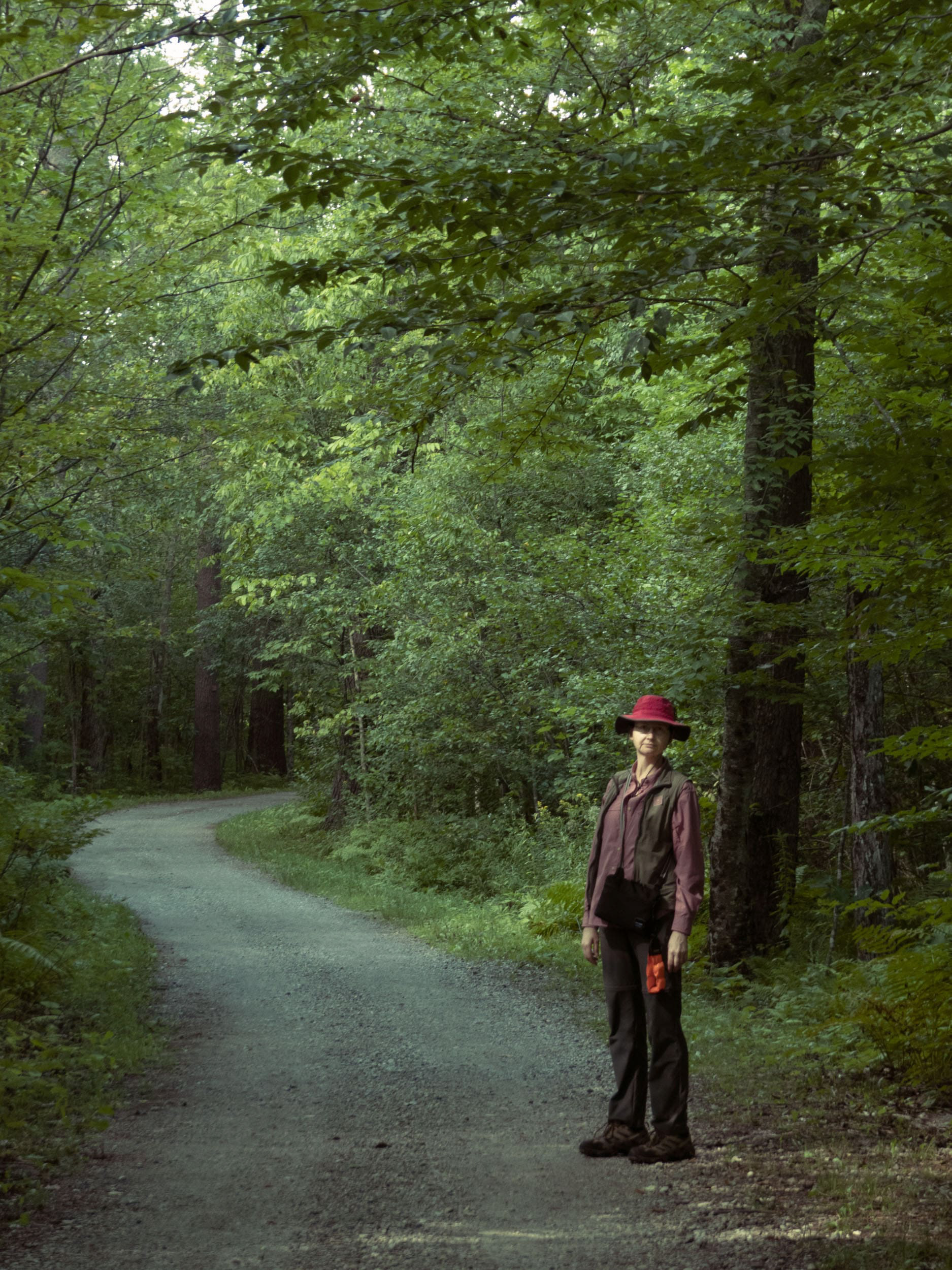 A trail in the greens near Berkshire, MA