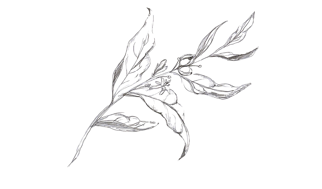 Sketch/Inspiration