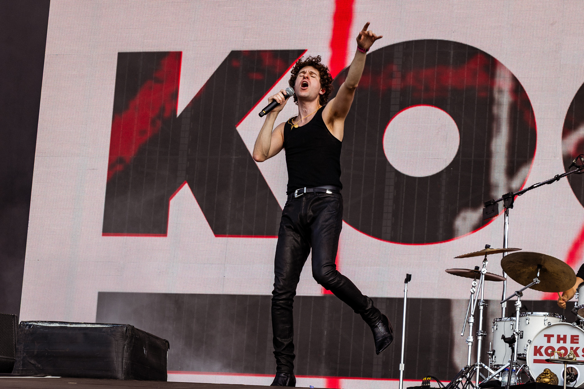 the kooks
