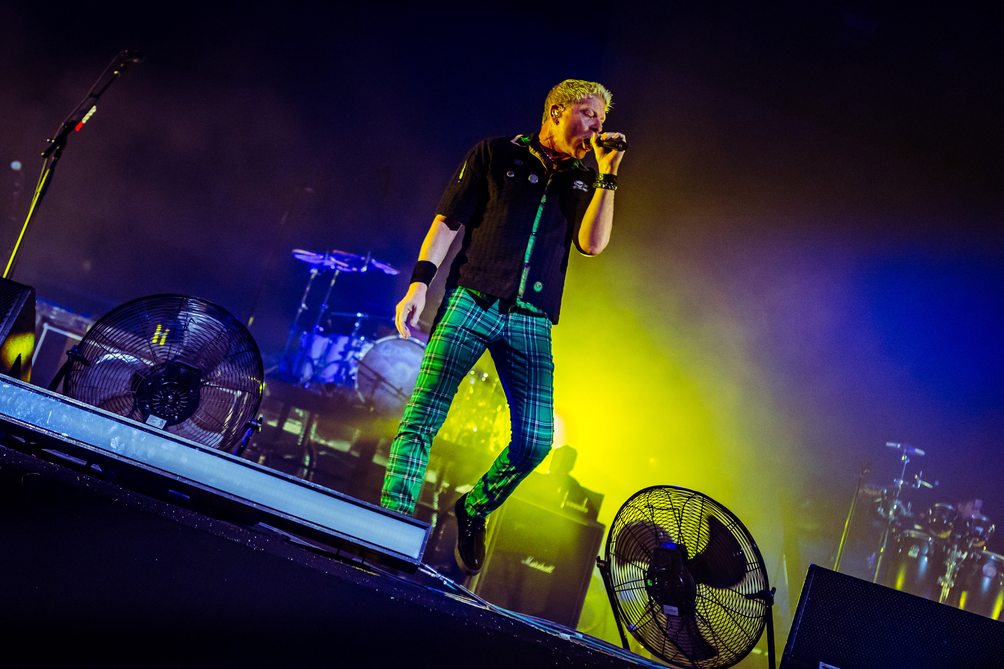 the offspring