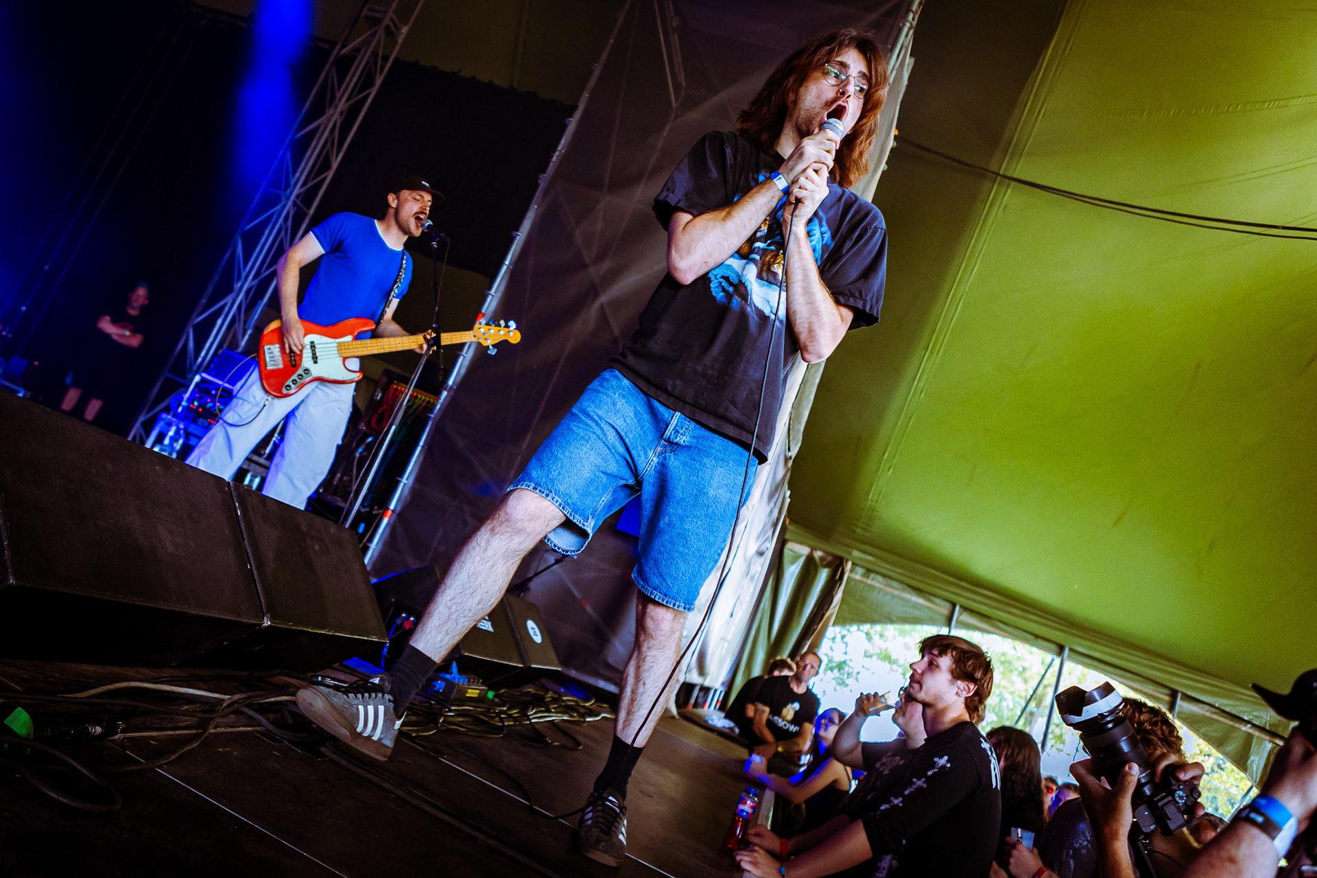 lintworm