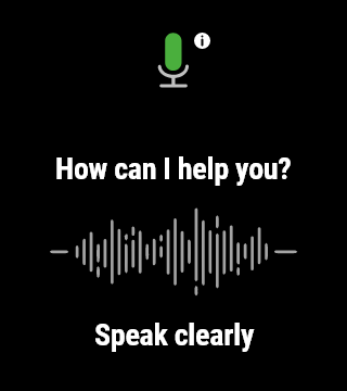 Voice AI (Old)
