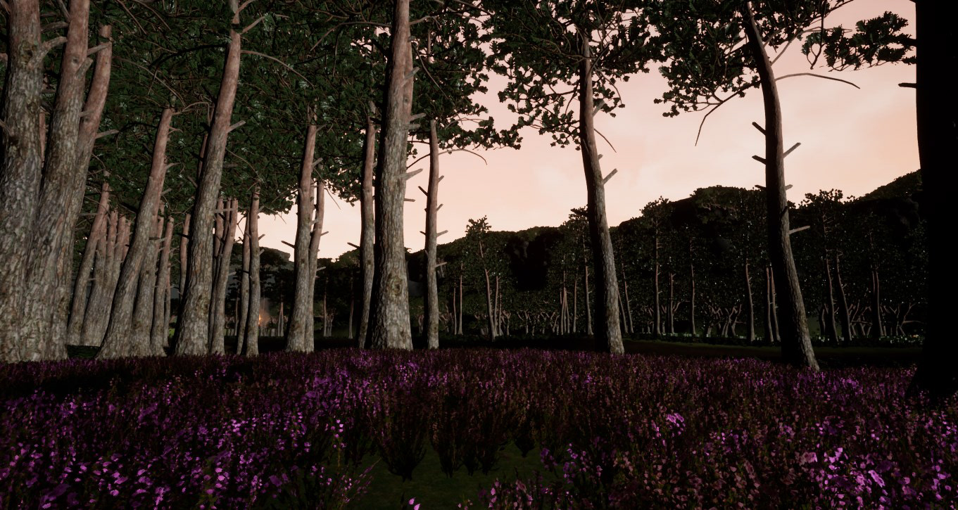 Scenery 2 (Forest)