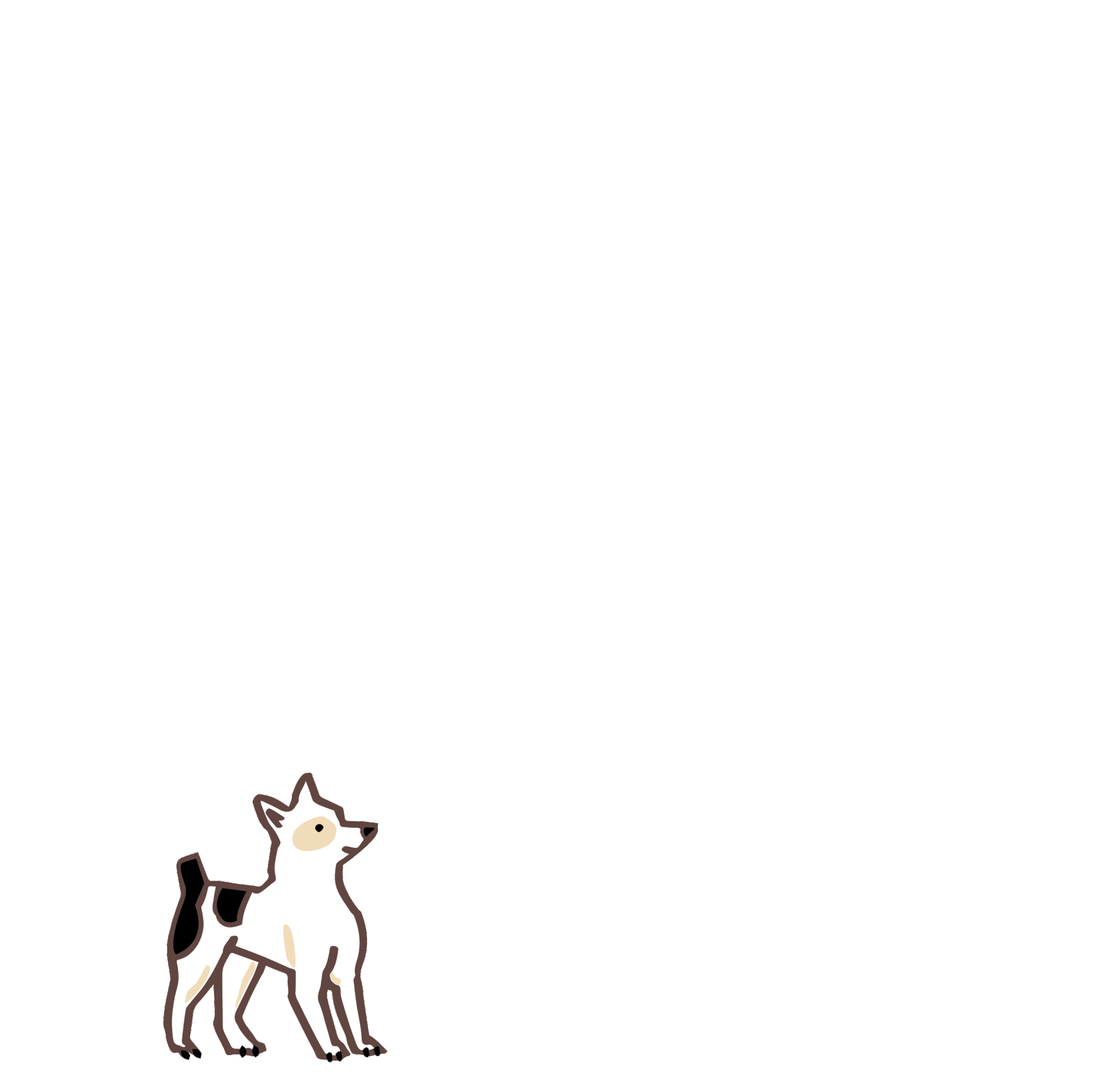 dogdayhikes.com
