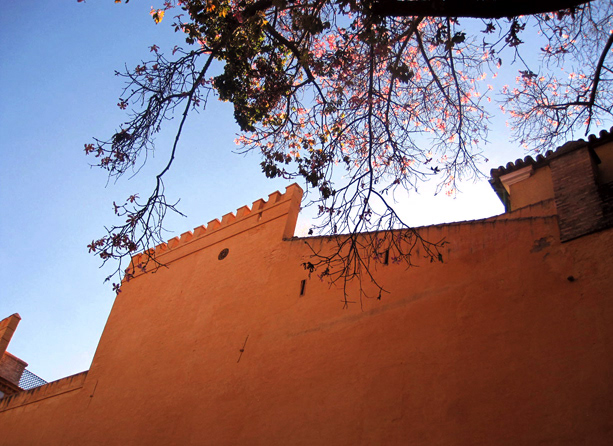 Seville, Andalusia.