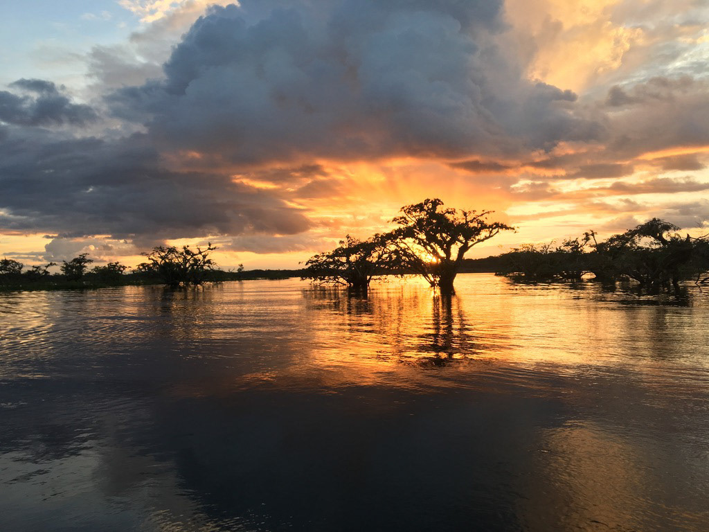 Cuyabeno Wildlife Reserve, Ecuador.