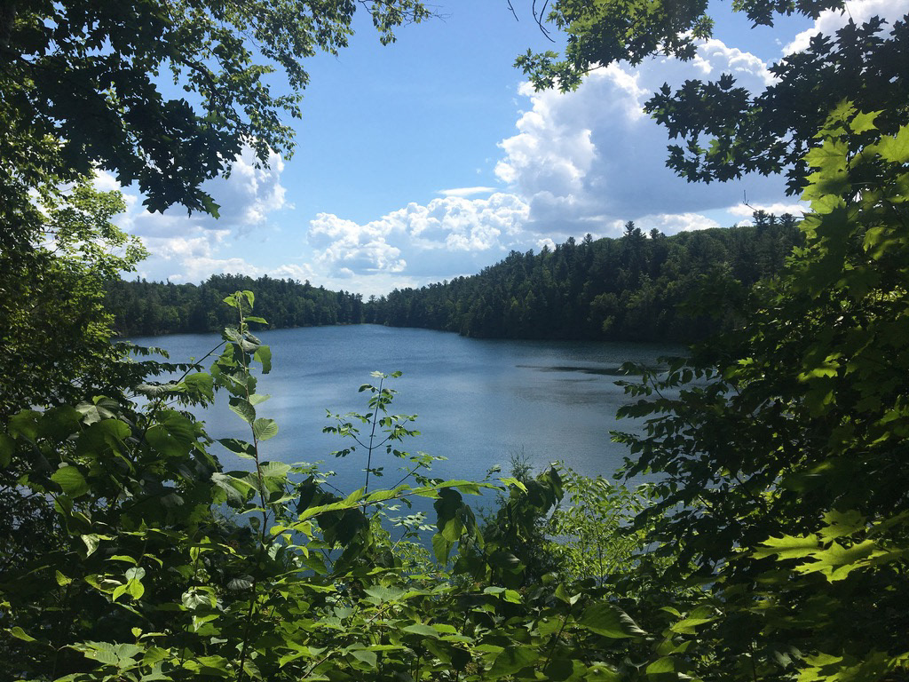 Gatineau Park, Québec.