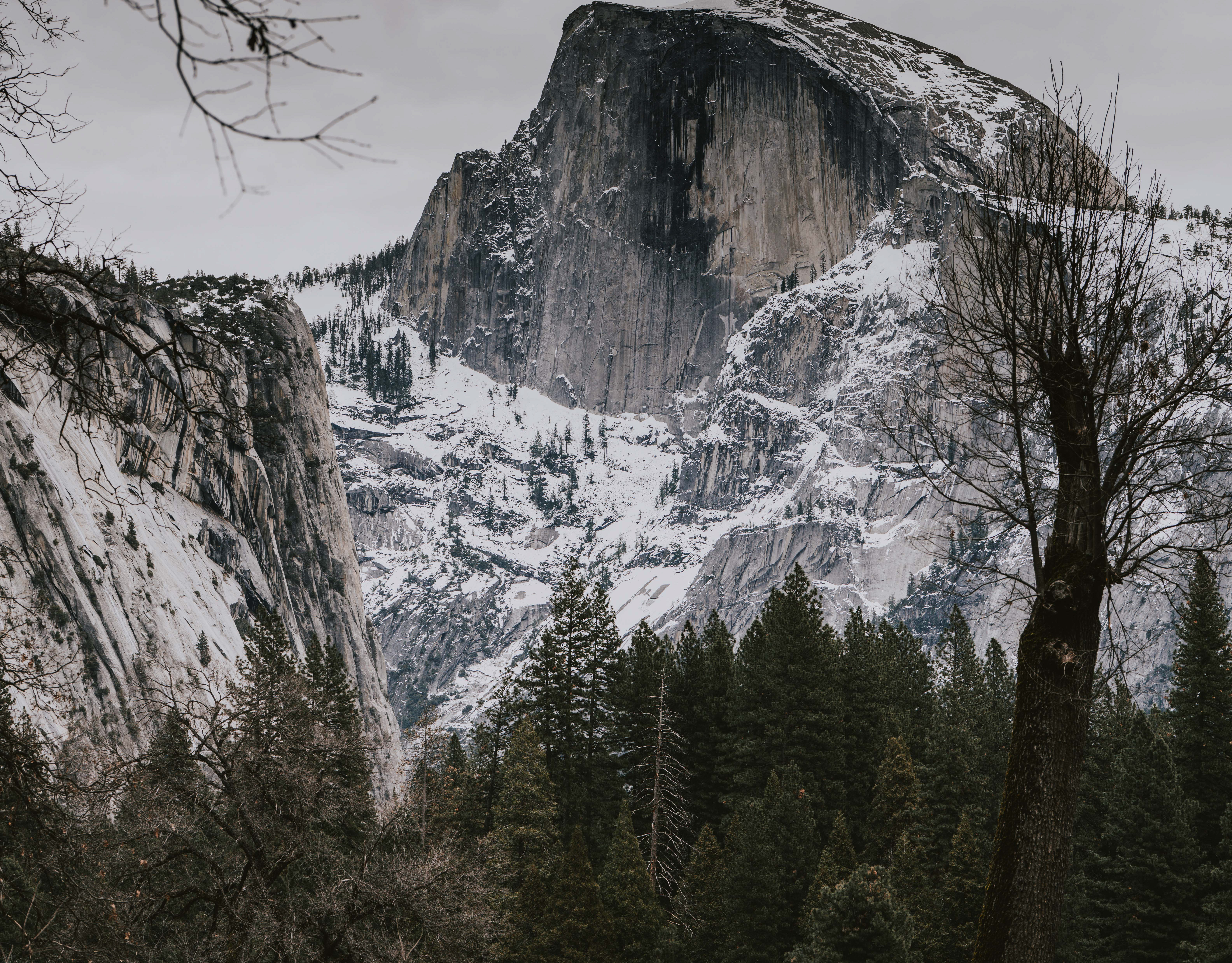 Raquel Creative - Yosemite 2025