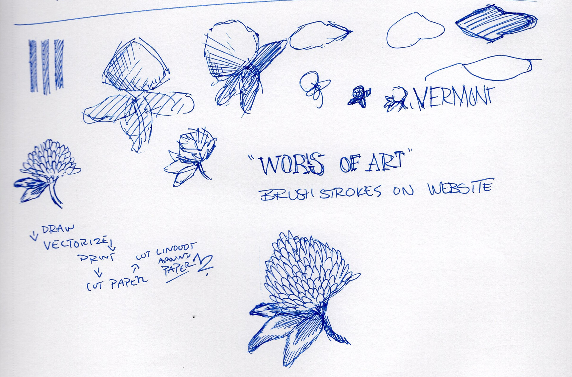 Clover sketches!
