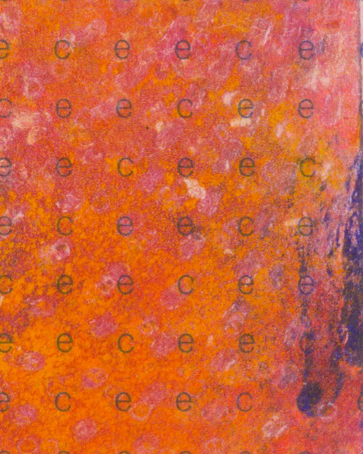 Detail 18.