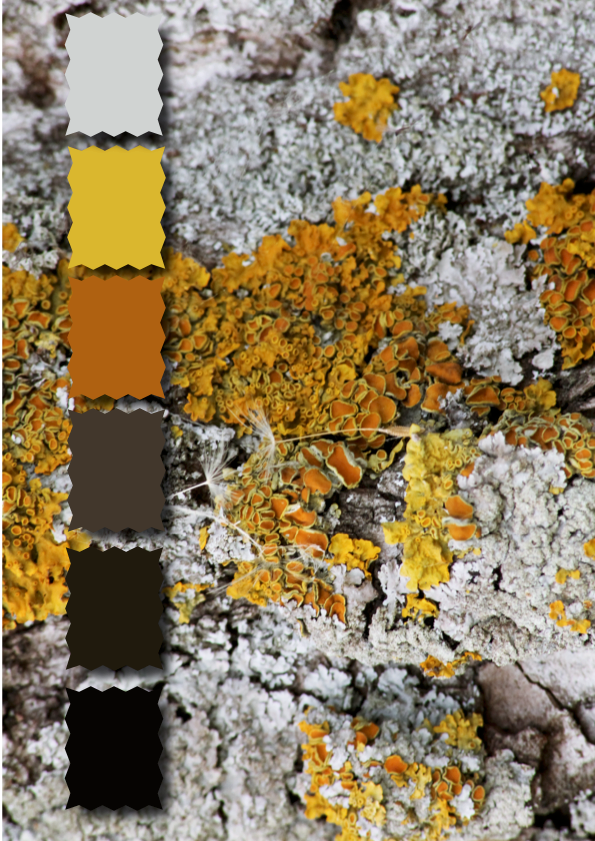 COLOR THEME, 2018