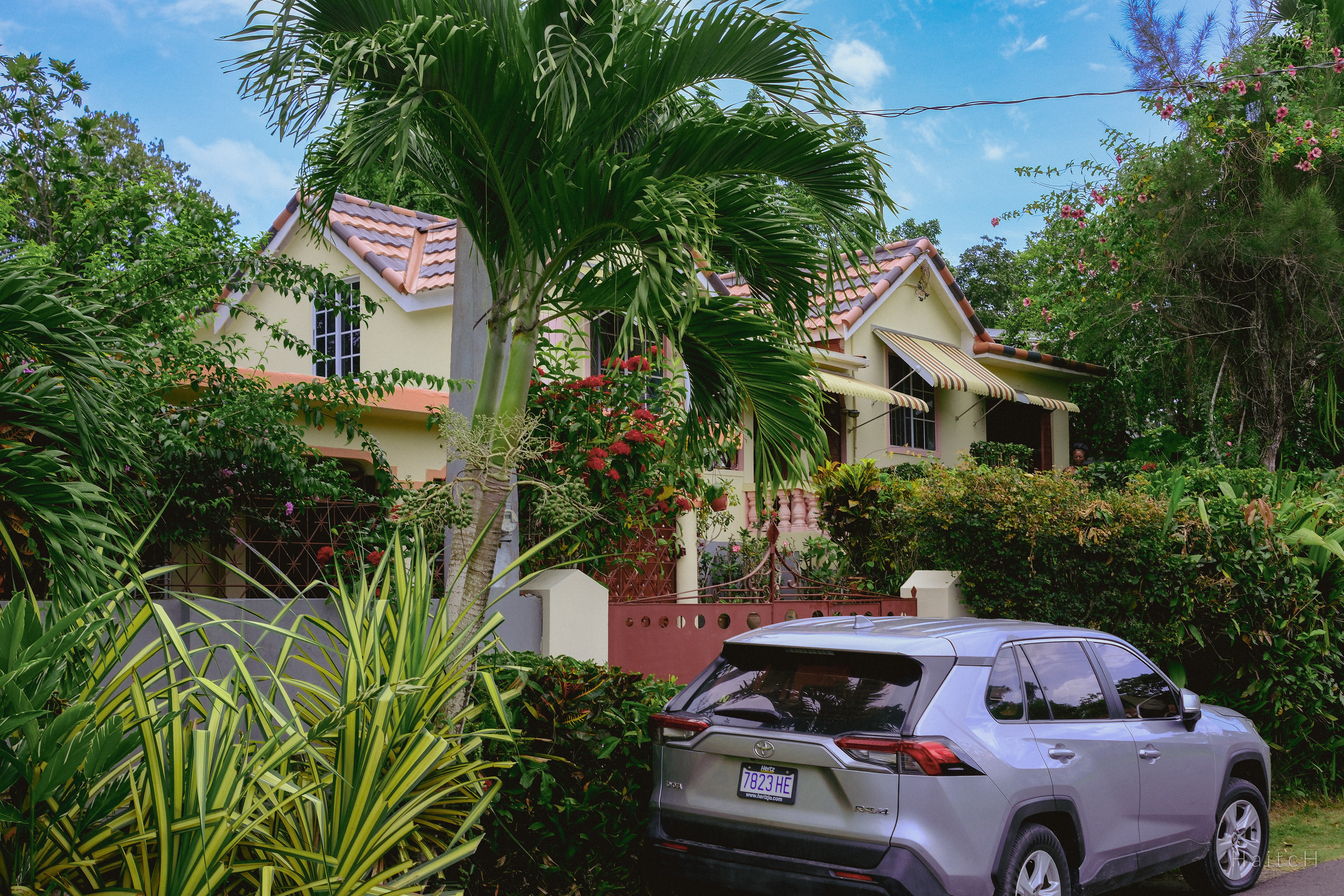 House and Palms, Jamaica